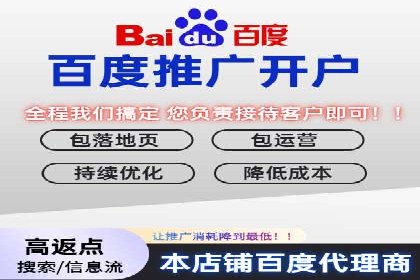 顶级SEM服务公司案例解析